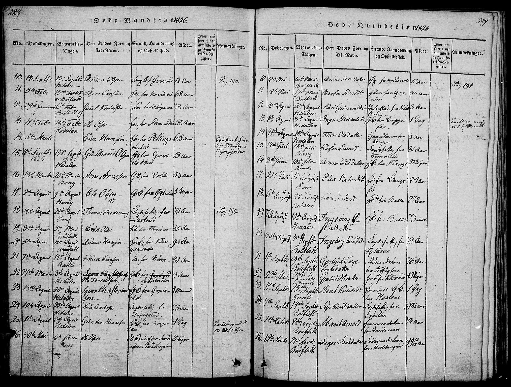 Sør-Aurdal prestekontor, SAH/PREST-128/H/Ha/Hab/L0001: Parish register (copy) no. 1, 1815-1826, p. 228-229