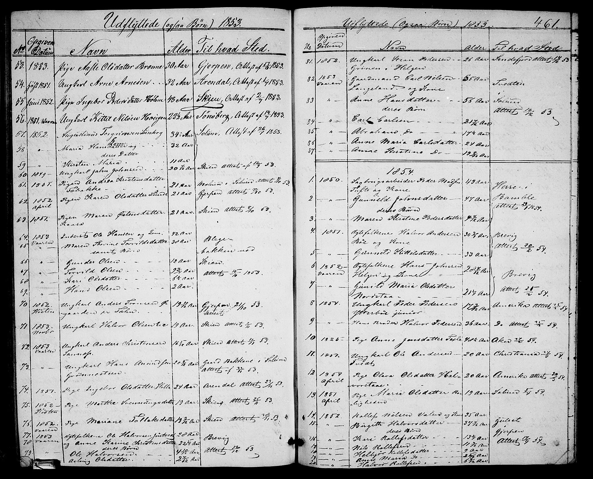 Holla kirkebøker, AV/SAKO-A-272/G/Ga/L0003: Parish register (copy) no. I 3, 1849-1866, p. 461