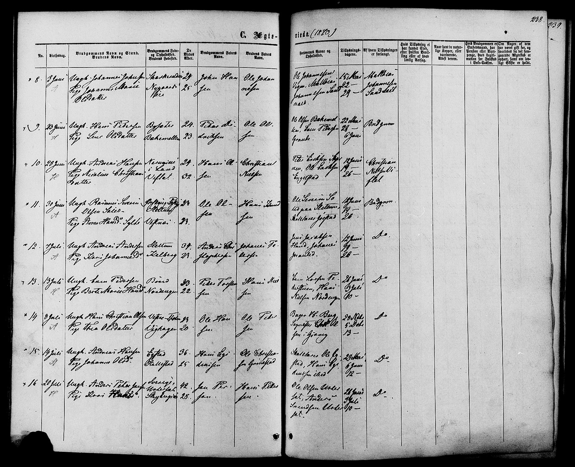 Vardal prestekontor, SAH/PREST-100/H/Ha/Haa/L0007: Parish register (official) no. 7, 1867-1878, p. 238