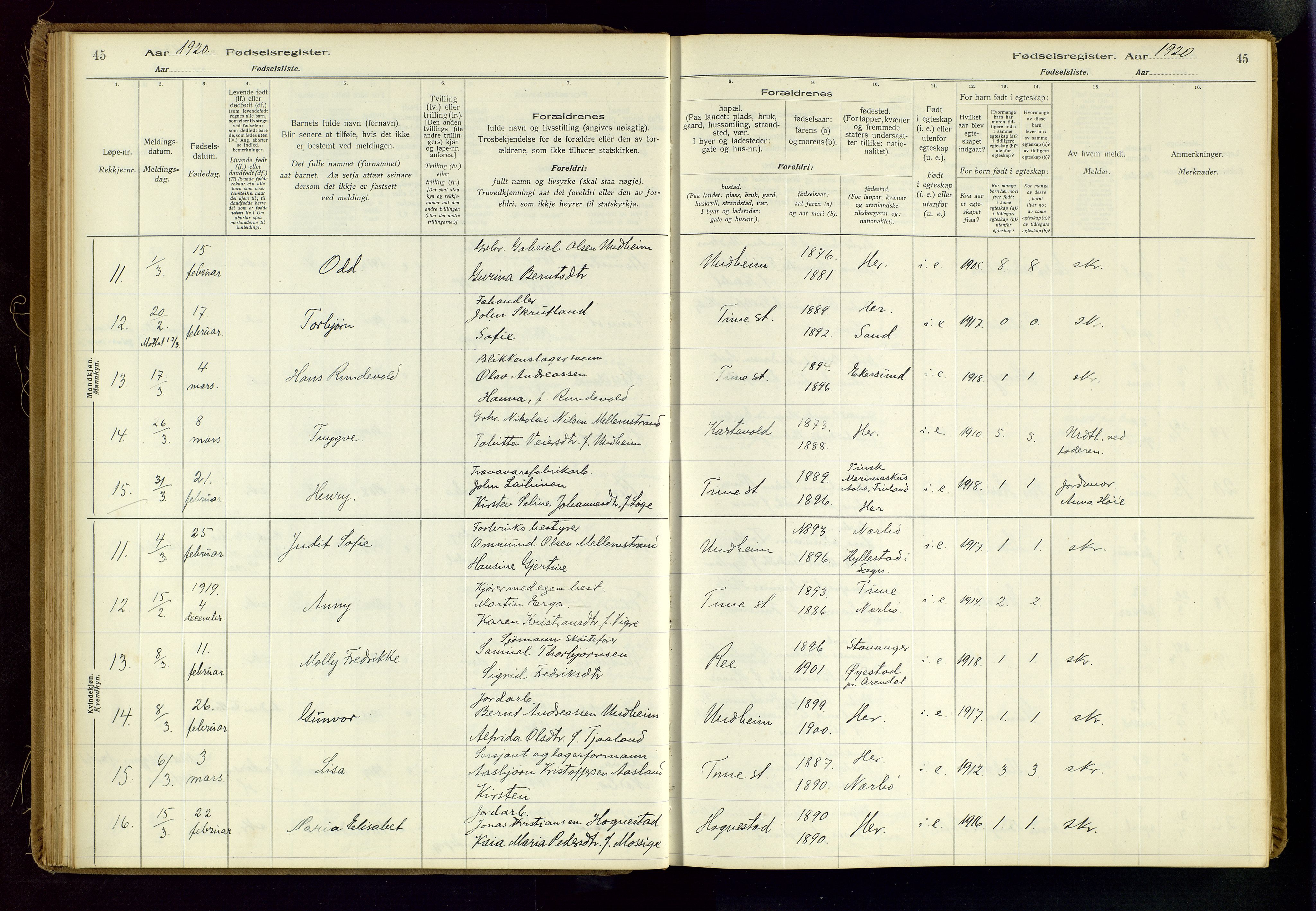 Time sokneprestkontor, AV/SAST-A-101795/001/704BA/L0001: Birth register no. 1, 1916-1934, p. 45