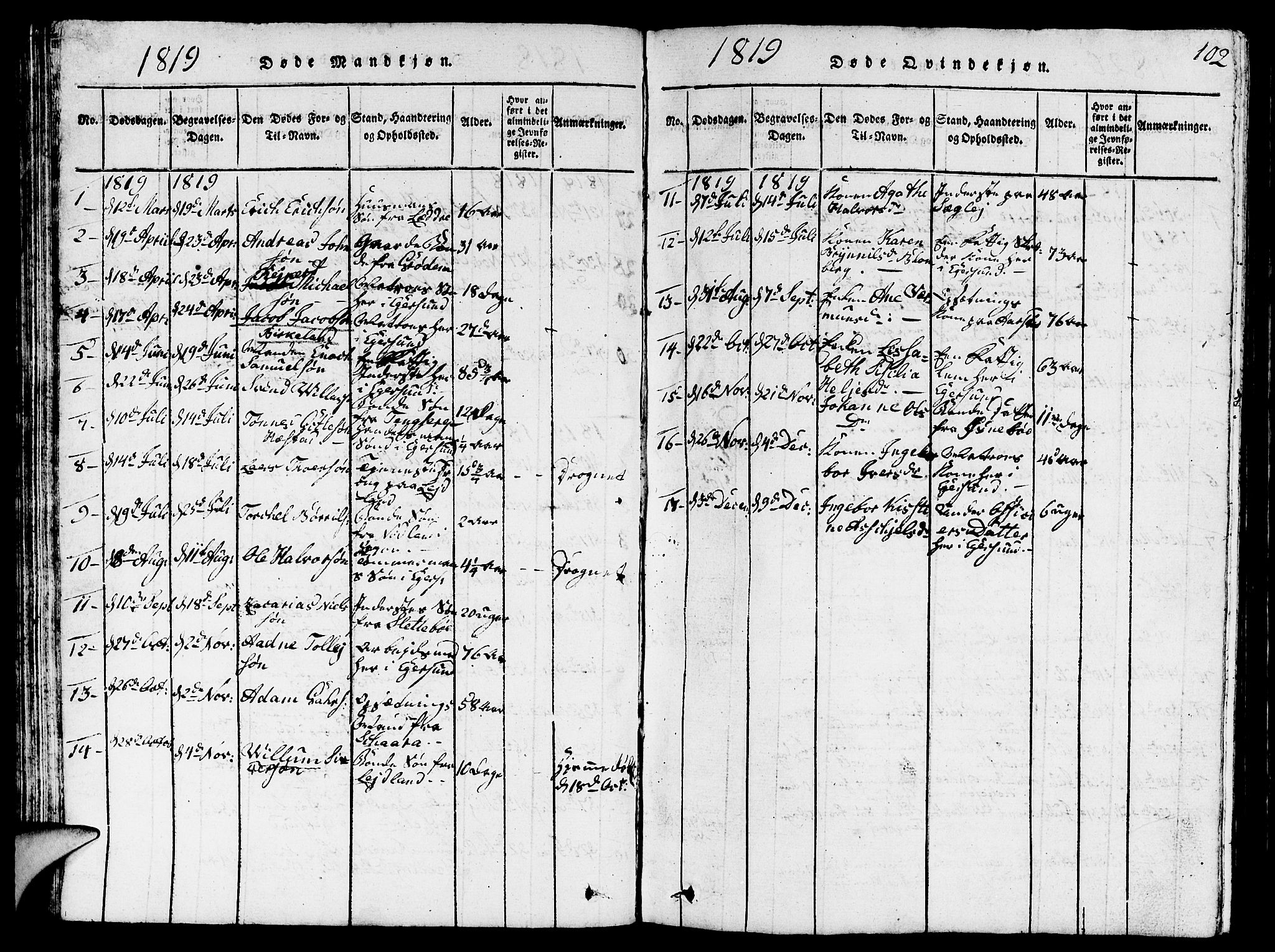 Eigersund sokneprestkontor, AV/SAST-A-101807/S09/L0001: Parish register (copy) no. B 1, 1815-1827, p. 102