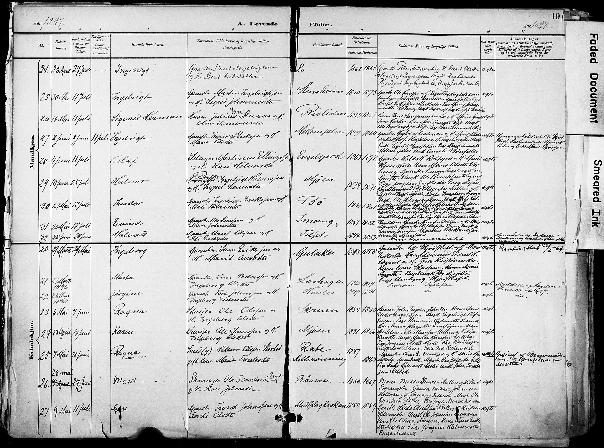 Ministerialprotokoller, klokkerbøker og fødselsregistre - Sør-Trøndelag, AV/SAT-A-1456/678/L0902: Parish register (official) no. 678A11, 1895-1911, p. 19