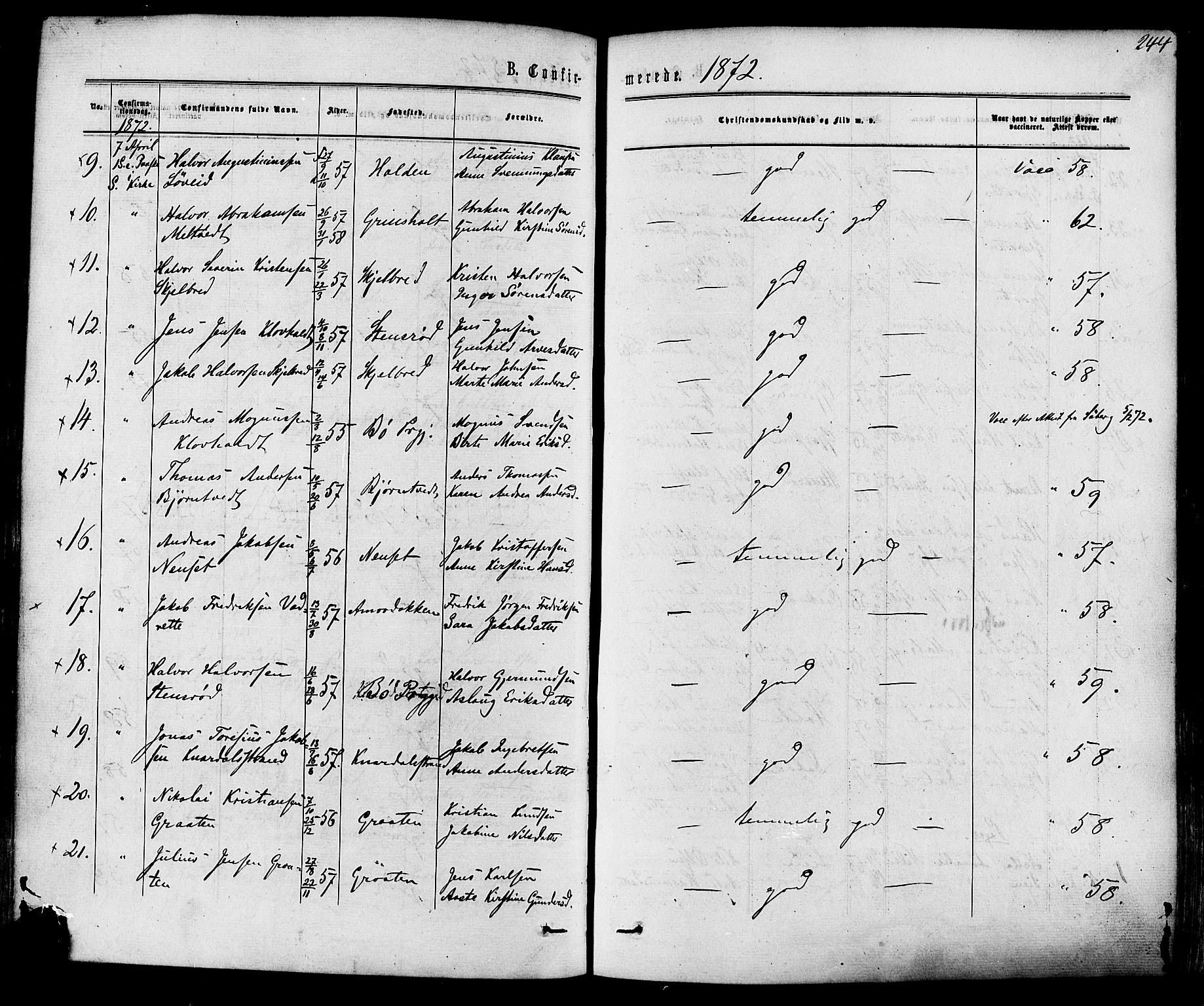 Solum kirkebøker, SAKO/A-306/F/Fa/L0008: Parish register (official) no. I 8, 1865-1876, p. 244