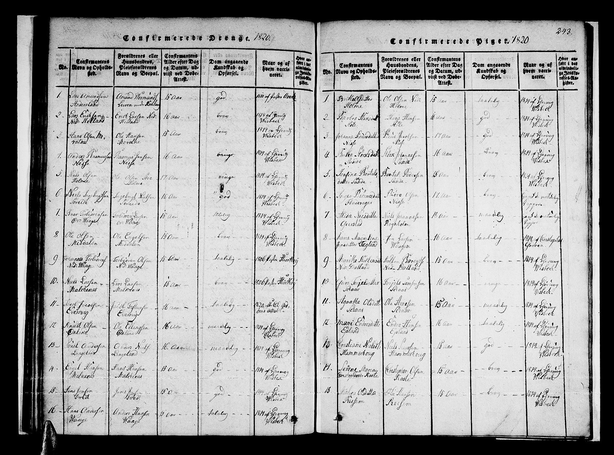 Tysnes sokneprestembete, AV/SAB-A-78601/H/Haa: Parish register (official) no. A 7, 1816-1826, p. 243