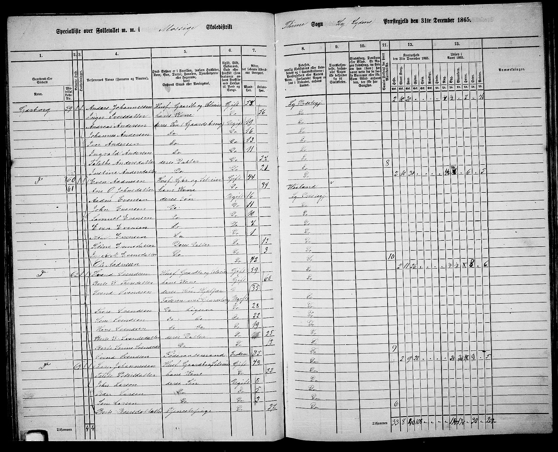 RA, 1865 census for Lye, 1865, p. 81