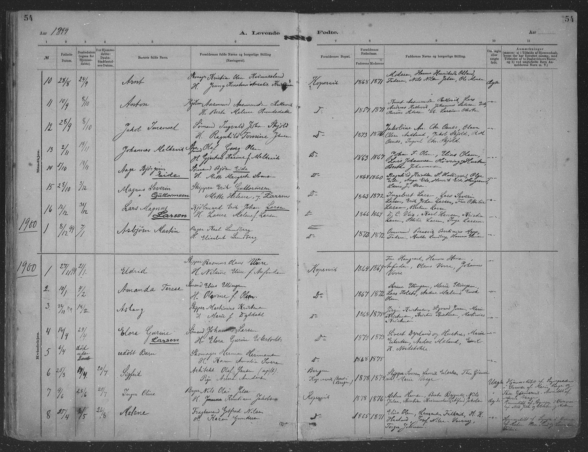 Kopervik sokneprestkontor, SAST/A-101850/H/Ha/Haa/L0001: Parish register (official) no. A 1, 1880-1919, p. 54