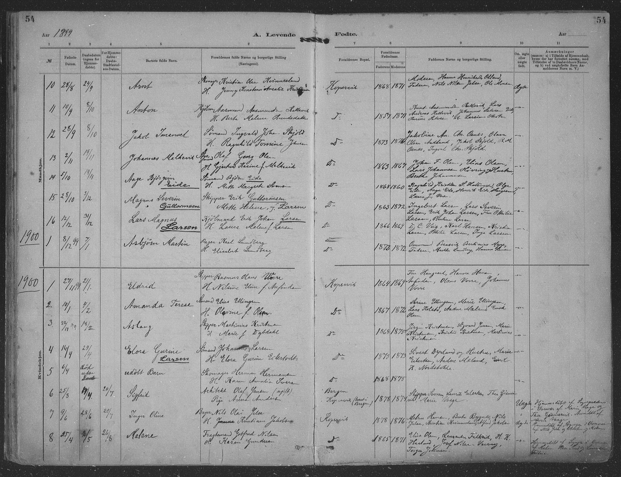 Kopervik sokneprestkontor, AV/SAST-A-101850/H/Ha/Haa/L0001: Parish register (official) no. A 1, 1880-1919, p. 54