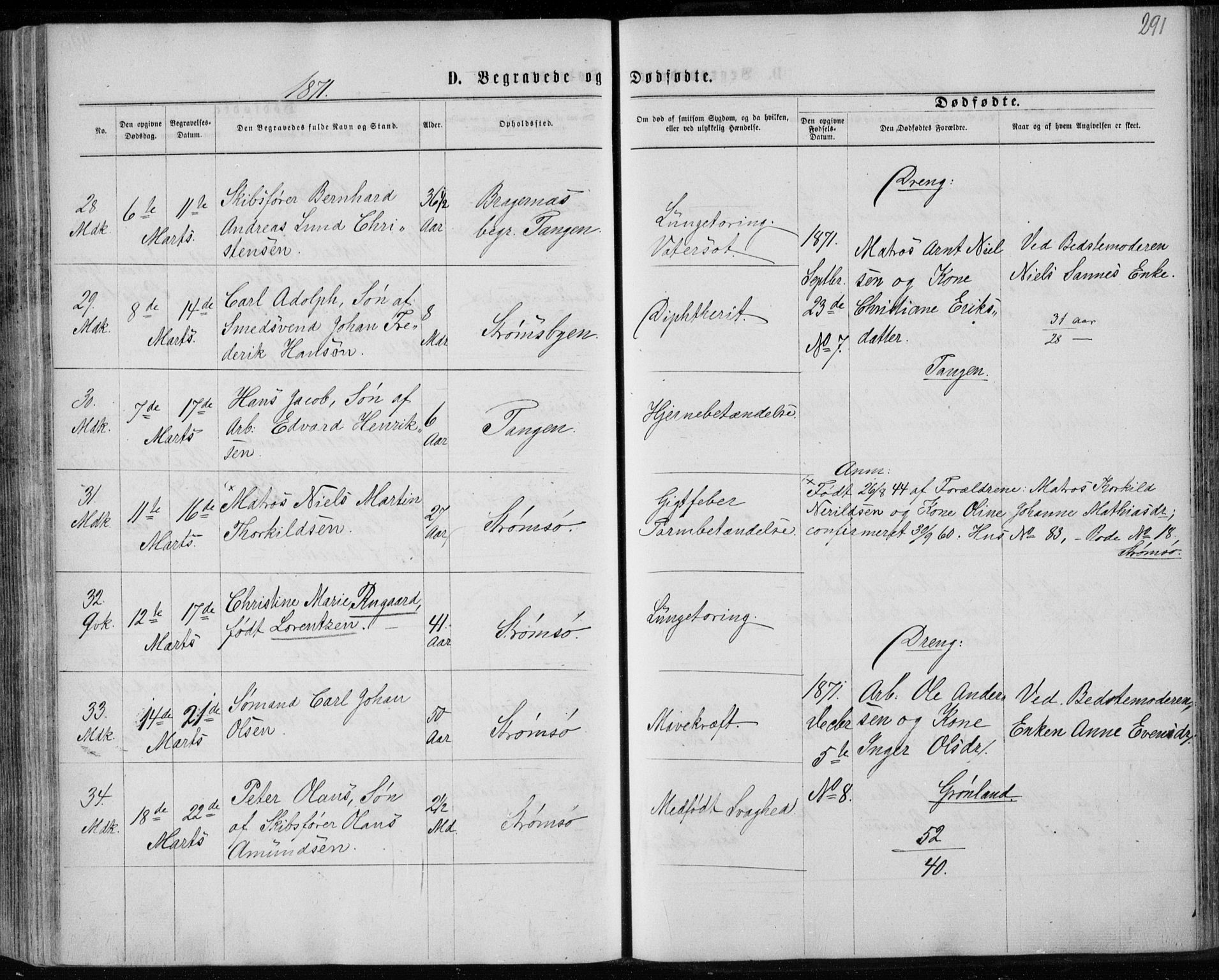Strømsø kirkebøker, SAKO/A-246/F/Fa/L0016: Parish register (official) no. I 16, 1868-1873, p. 291