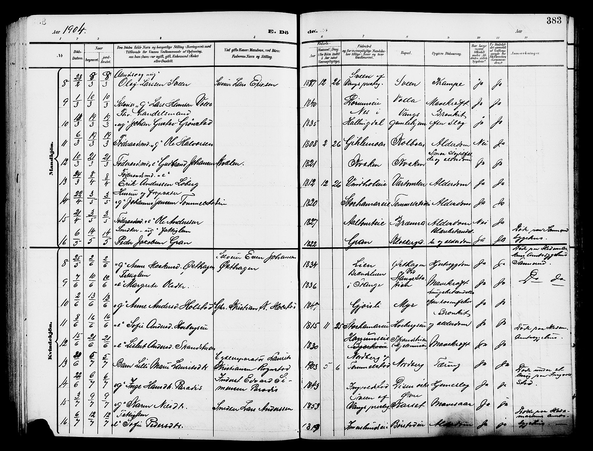 Vang prestekontor, Hedmark, SAH/PREST-008/H/Ha/Hab/L0014: Parish register (copy) no. 14, 1896-1914, p. 383