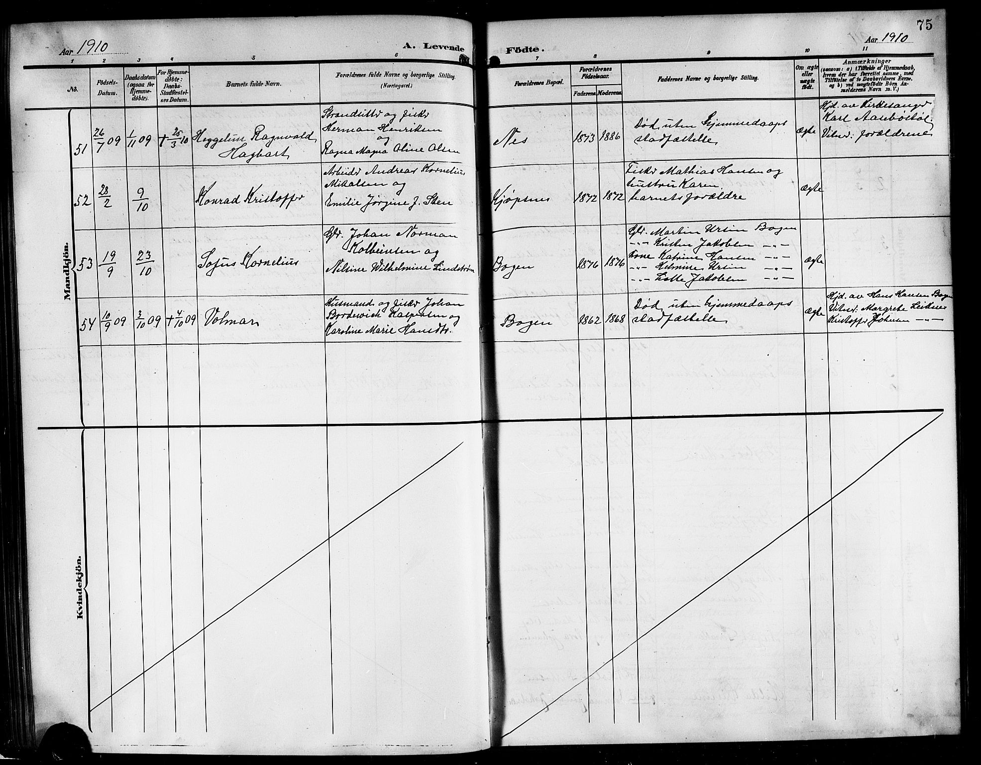 Ministerialprotokoller, klokkerbøker og fødselsregistre - Nordland, AV/SAT-A-1459/861/L0877: Parish register (copy) no. 861C03, 1903-1919, p. 75