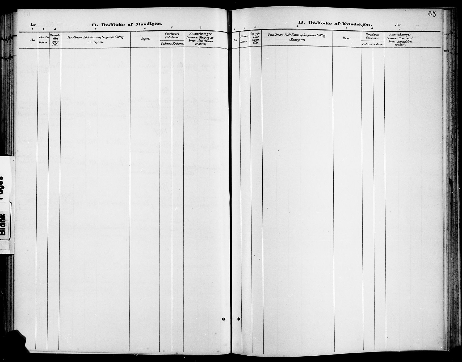 Nord-Audnedal sokneprestkontor, SAK/1111-0032/F/Fb/Fbb/L0004: Parish register (copy) no. B 4, 1901-1917, p. 65