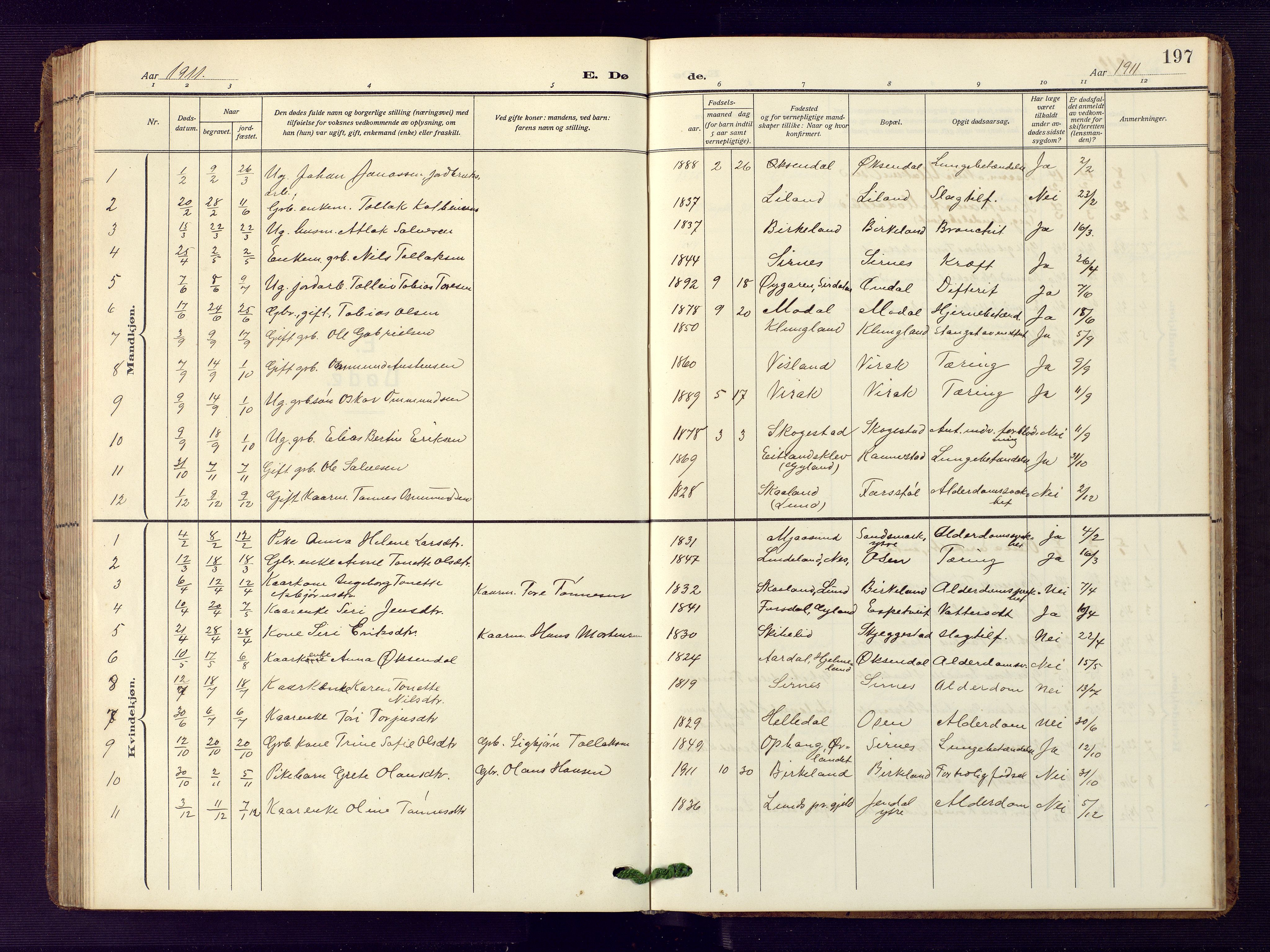 Bakke sokneprestkontor, SAK/1111-0002/F/Fb/Fba/L0004: Parish register (copy) no. B 4, 1911-1946, p. 197