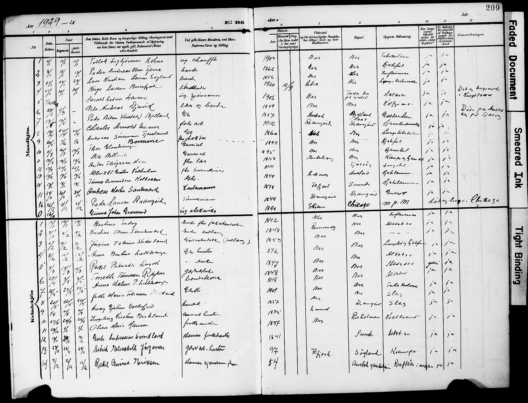 Flekkefjord sokneprestkontor, SAK/1111-0012/F/Fb/Fbc/L0008: Parish register (copy) no. B 8, 1903-1931, p. 209