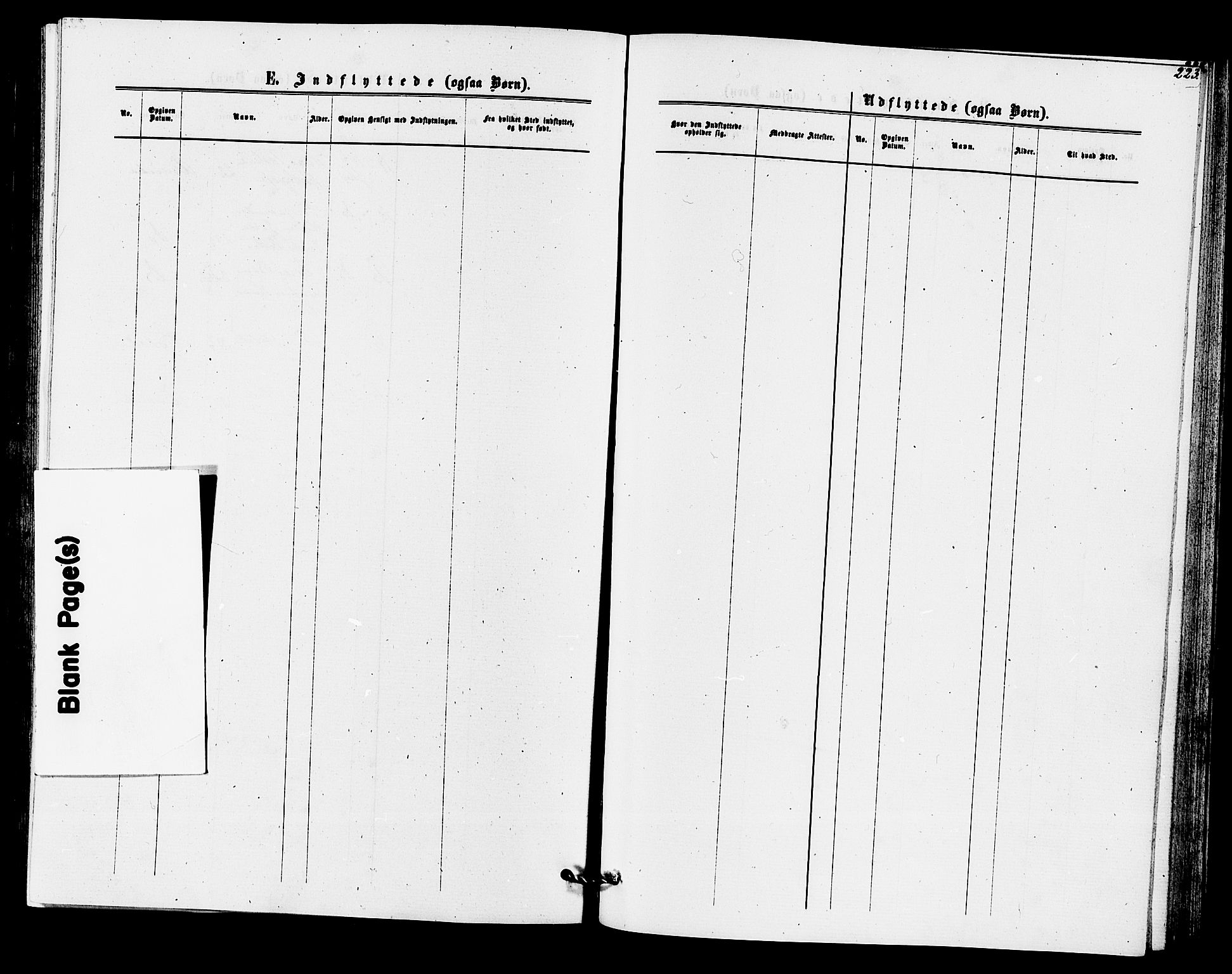 Rollag kirkebøker, AV/SAKO-A-240/F/Fa/L0010: Parish register (official) no. I 10, 1874-1877, p. 223