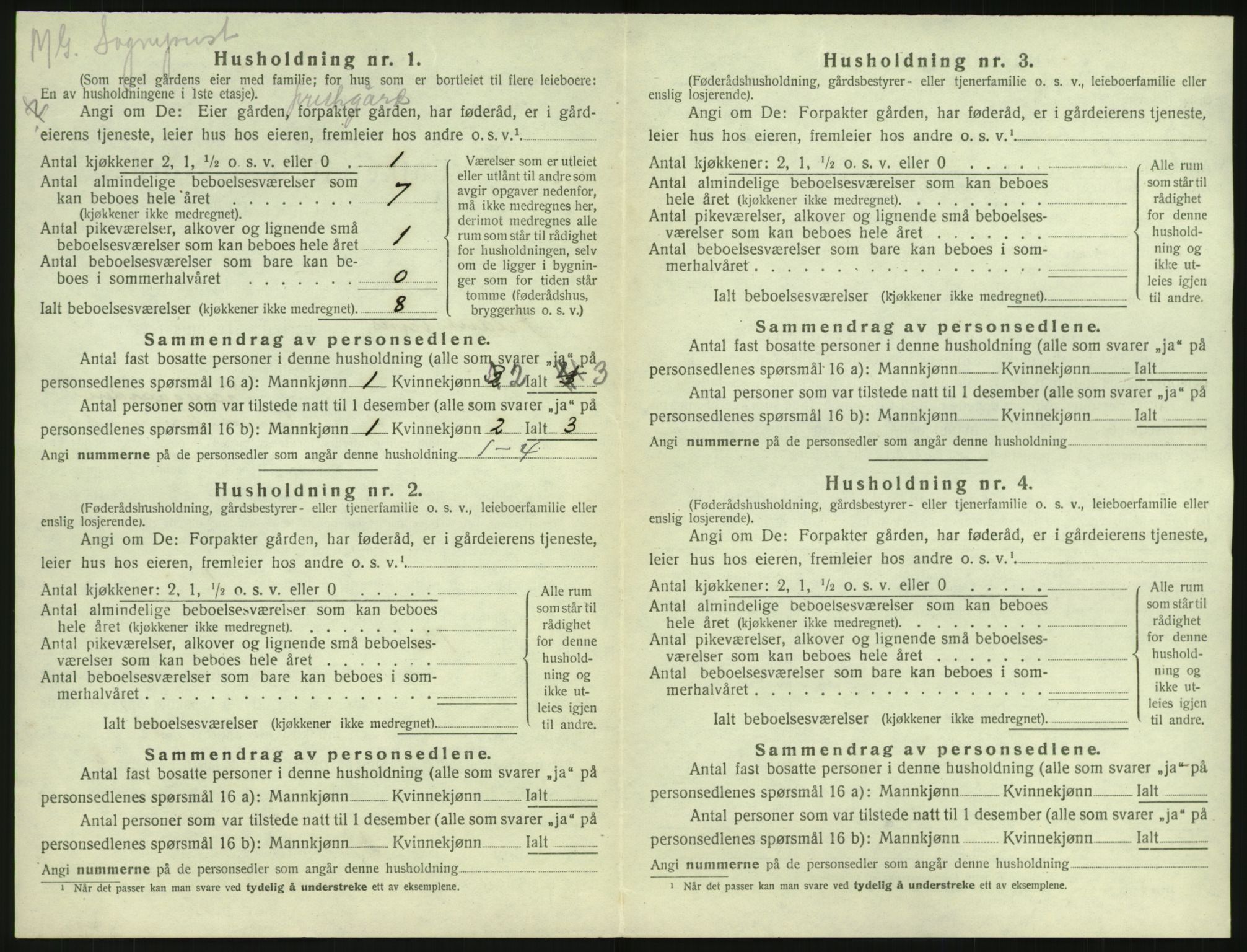 SAKO, 1920 census for Fredriksvern, 1920, p. 22