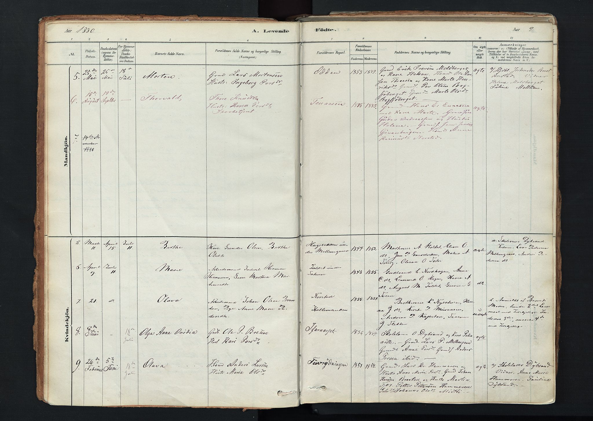 Trysil prestekontor, AV/SAH-PREST-046/H/Ha/Haa/L0011: Parish register (official) no. 11, 1878-1912, p. 9