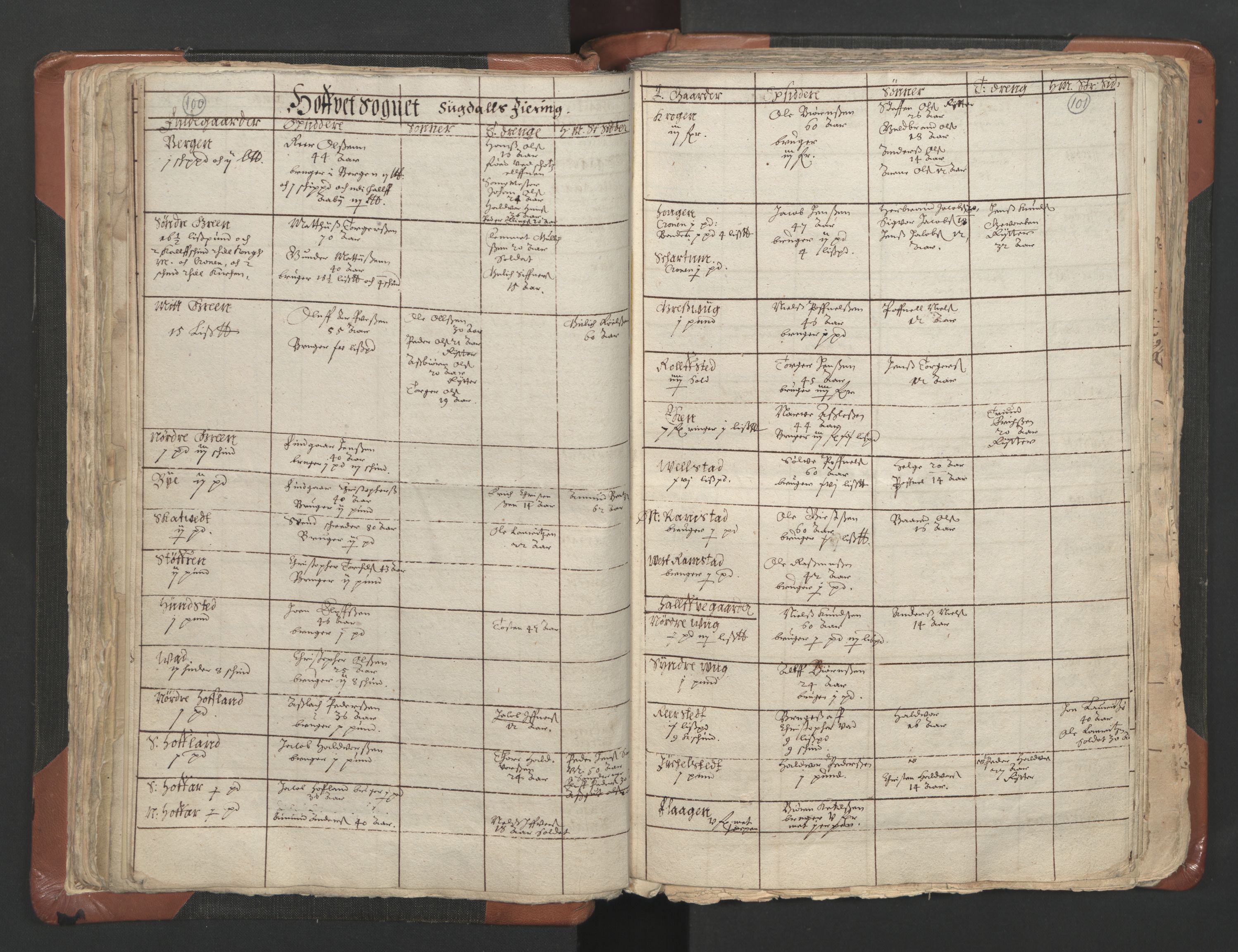 RA, Vicar's Census 1664-1666, no. 9: Bragernes deanery, 1664-1666, p. 100-101