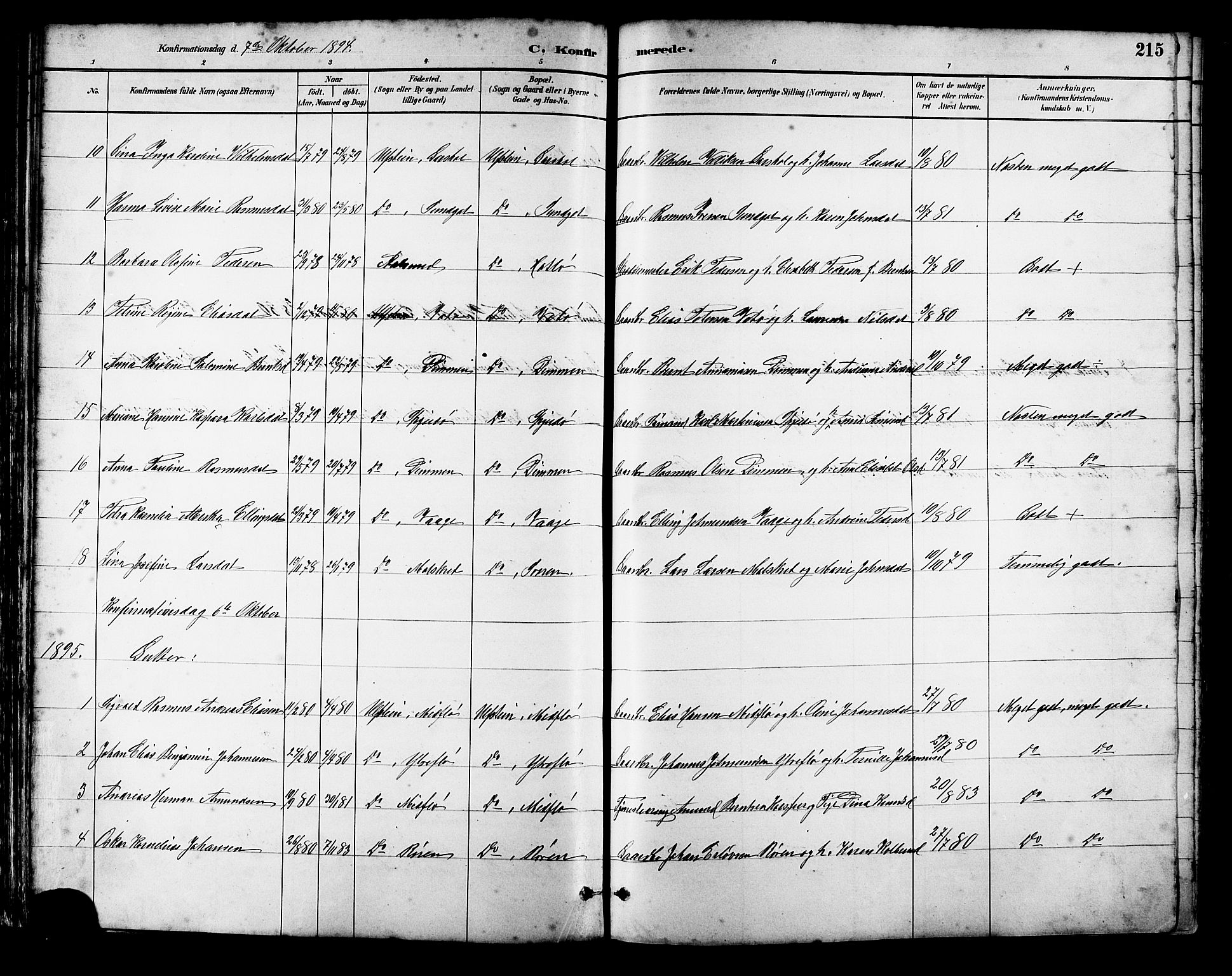 Ministerialprotokoller, klokkerbøker og fødselsregistre - Møre og Romsdal, AV/SAT-A-1454/509/L0112: Parish register (copy) no. 509C02, 1883-1922, p. 215