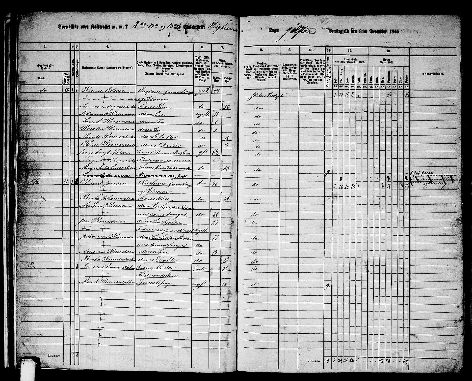 RA, 1865 census for Jølster, 1865, p. 37