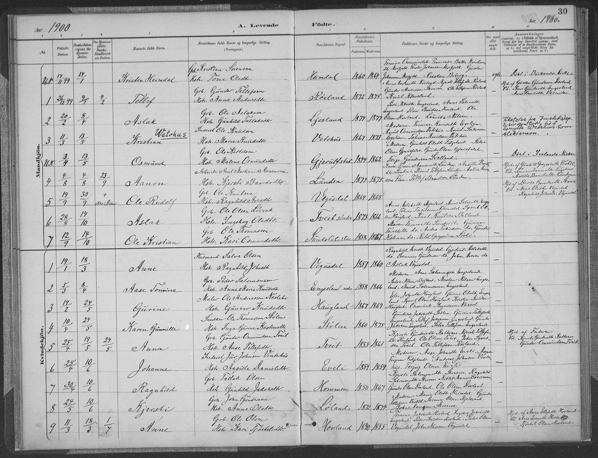 Herefoss sokneprestkontor, SAK/1111-0019/F/Fa/Fab/L0004: Parish register (official) no. A 4, 1887-1909, p. 30