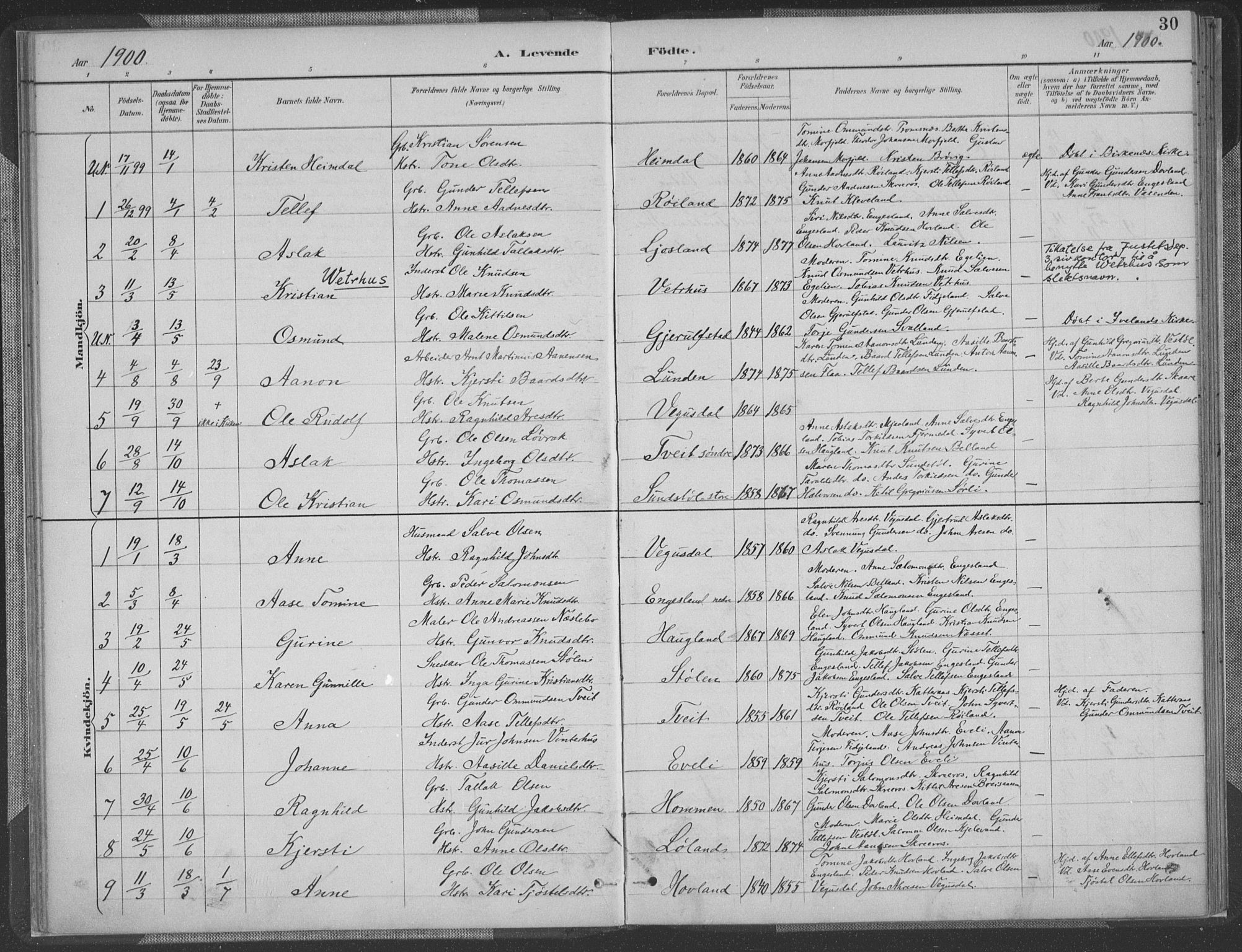 Herefoss sokneprestkontor, AV/SAK-1111-0019/F/Fa/Fab/L0004: Parish register (official) no. A 4, 1887-1909, p. 30