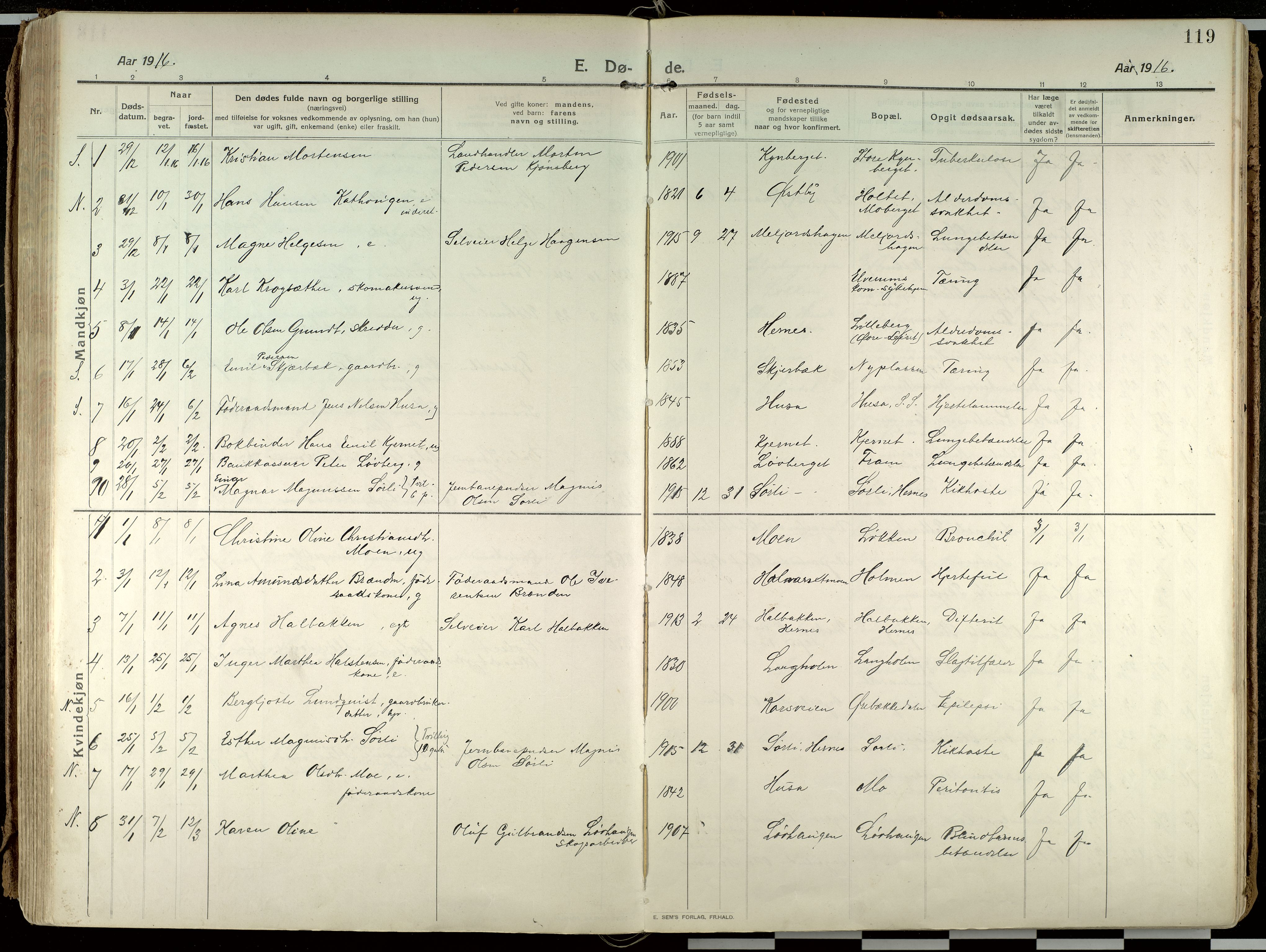 Elverum prestekontor, AV/SAH-PREST-044/H/Ha/Haa/L0021: Parish register (official) no. 21, 1913-1928, p. 119