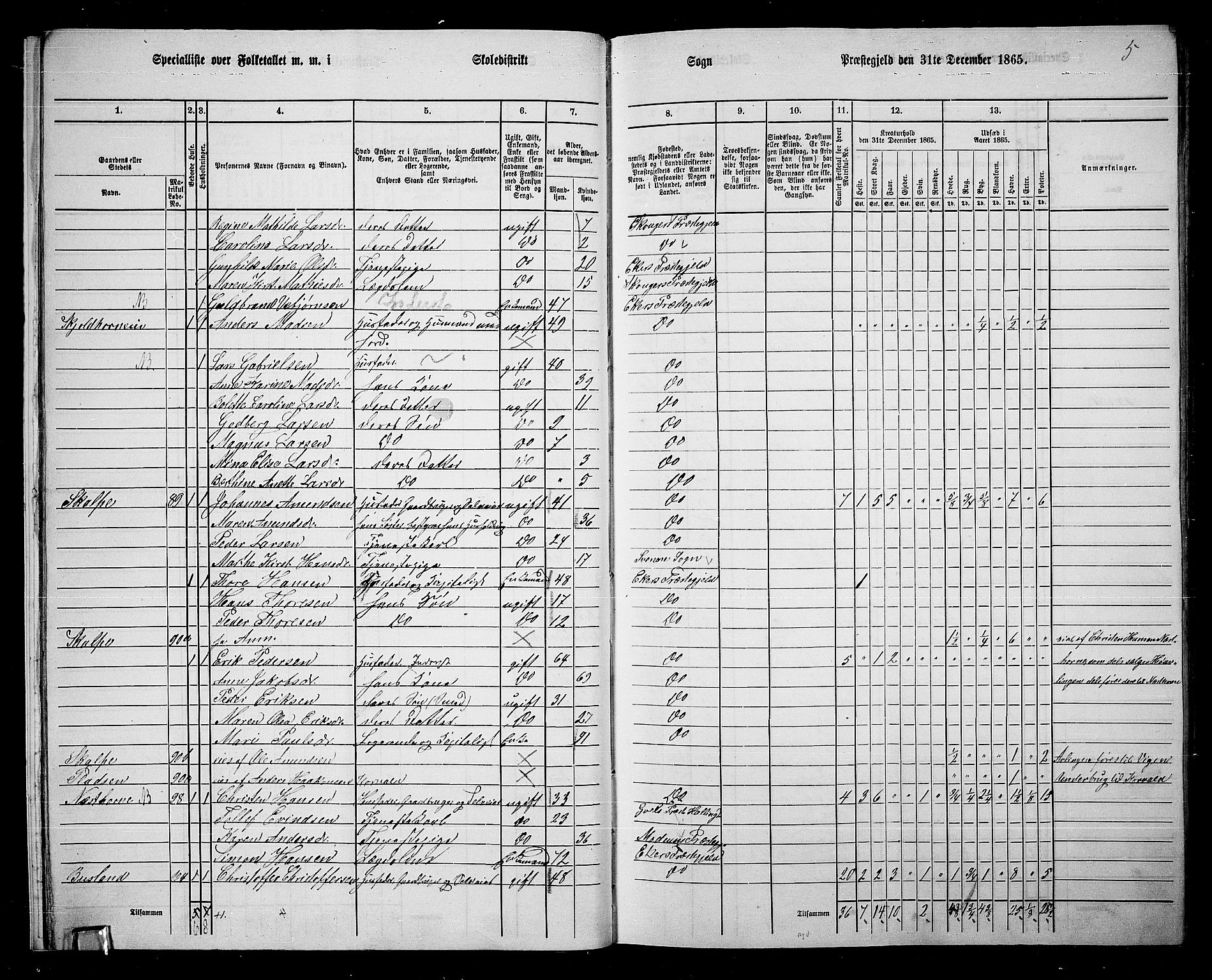 RA, 1865 census for Eiker, 1865, p. 18