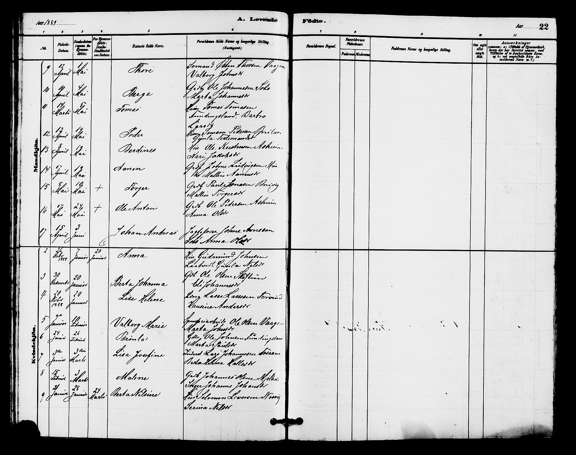 Hjelmeland sokneprestkontor, AV/SAST-A-101843/01/V/L0007: Parish register (copy) no. B 7, 1880-1909, p. 22