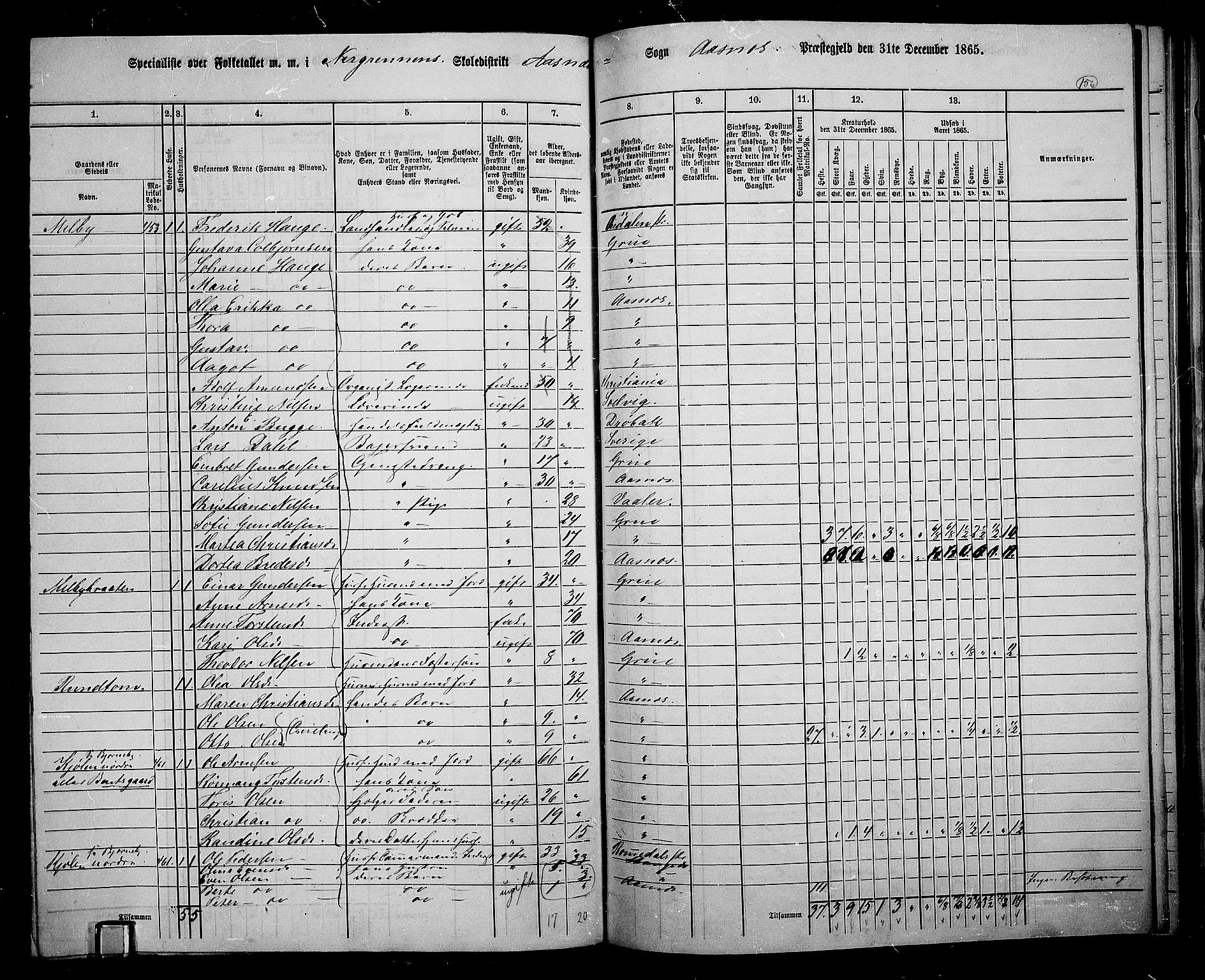 RA, 1865 census for Åsnes, 1865, p. 145