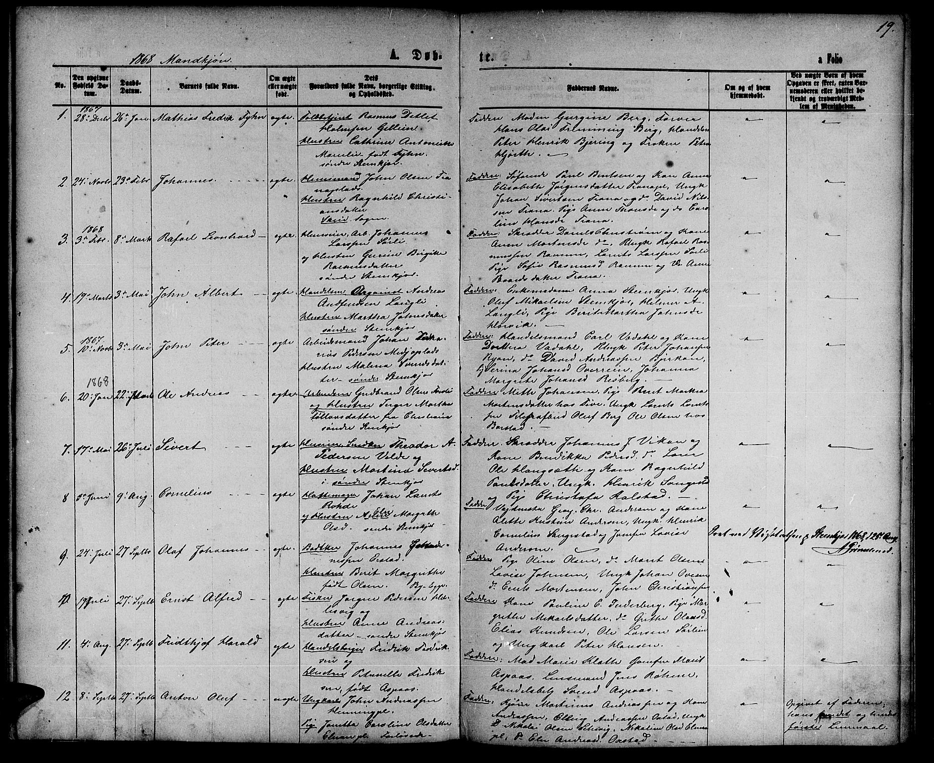 Ministerialprotokoller, klokkerbøker og fødselsregistre - Nord-Trøndelag, SAT/A-1458/739/L0373: Parish register (copy) no. 739C01, 1865-1882, p. 19