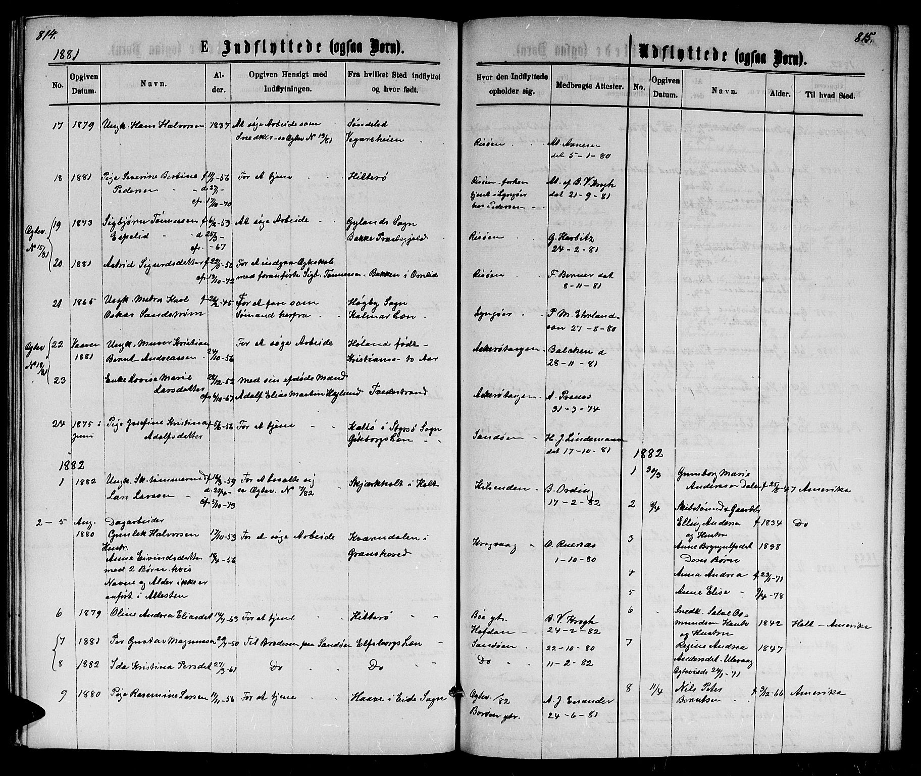 Dypvåg sokneprestkontor, AV/SAK-1111-0007/F/Fb/Fba/L0012: Parish register (copy) no. B 12, 1872-1886, p. 814-815