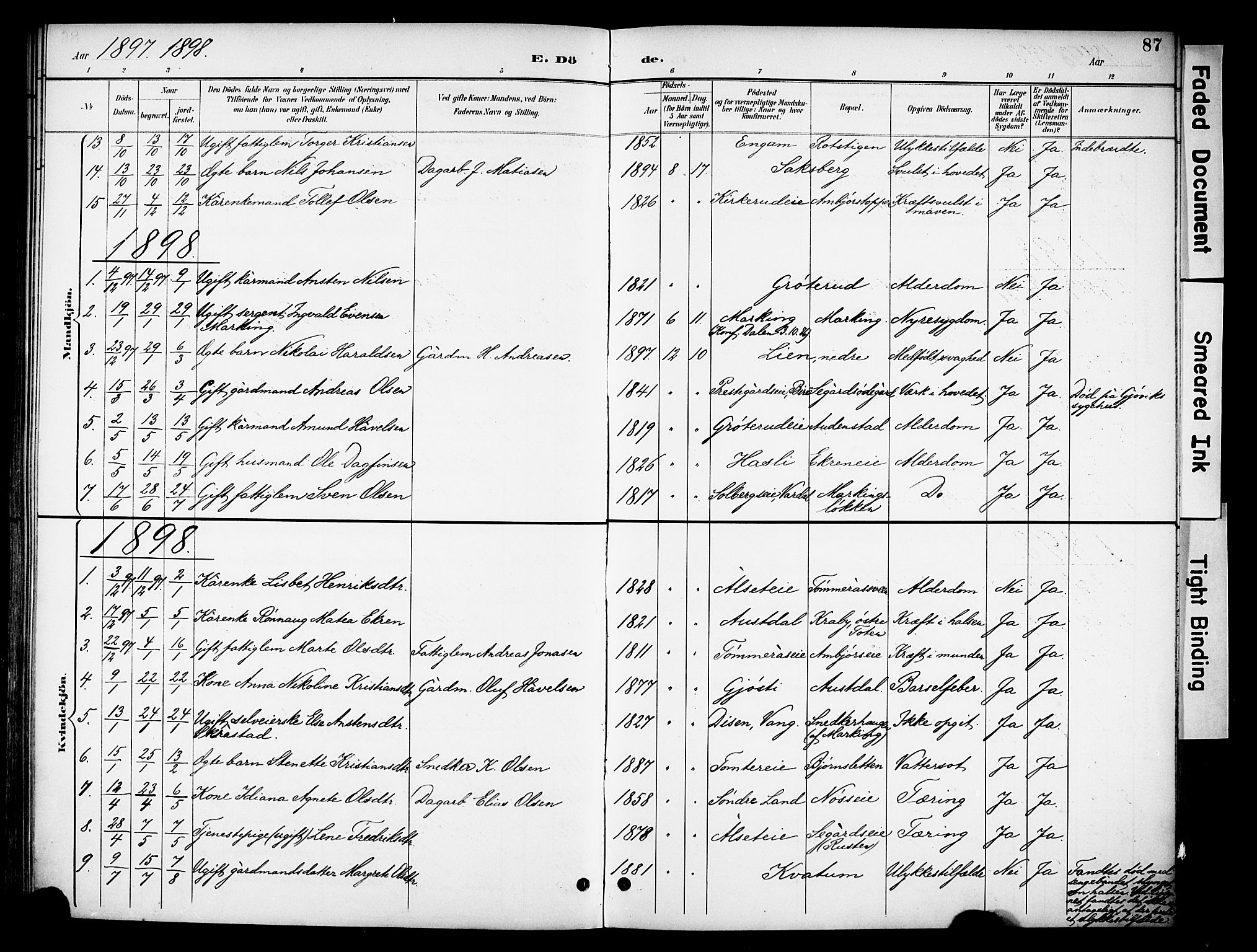 Biri prestekontor, SAH/PREST-096/H/Ha/Haa/L0008: Parish register (official) no. 8, 1894-1901, p. 87