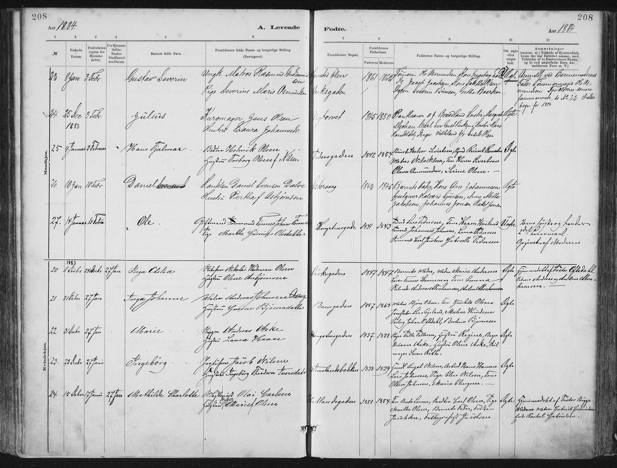 St. Petri sokneprestkontor, AV/SAST-A-101813/001/30/30BA/L0015: Parish register (official) no. A 15, 1879-1888, p. 208