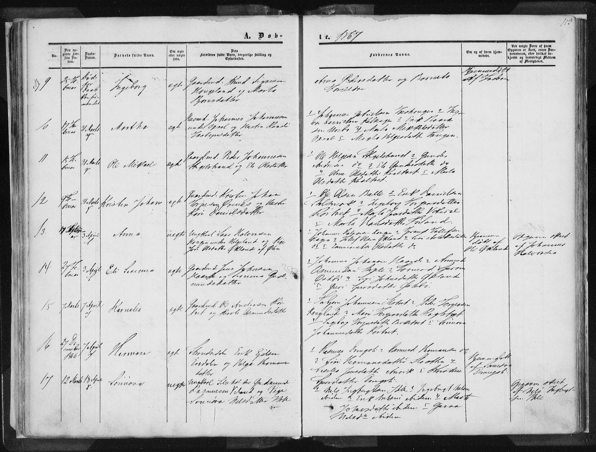 Vikedal sokneprestkontor, AV/SAST-A-101840/01/IV: Parish register (official) no. A 6.1, 1851-1867, p. 113