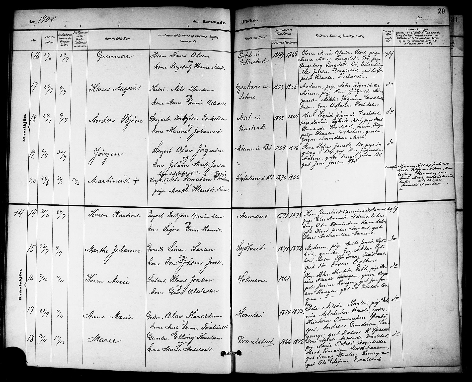 Drangedal kirkebøker, AV/SAKO-A-258/G/Gb/L0002: Parish register (copy) no. II 2, 1895-1918, p. 29