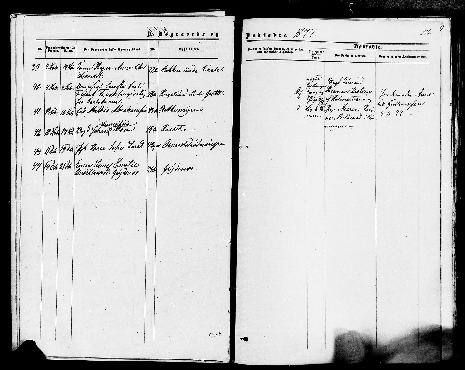 Våle kirkebøker, AV/SAKO-A-334/F/Fa/L0010: Parish register (official) no. I 10, 1861-1877, p. 316