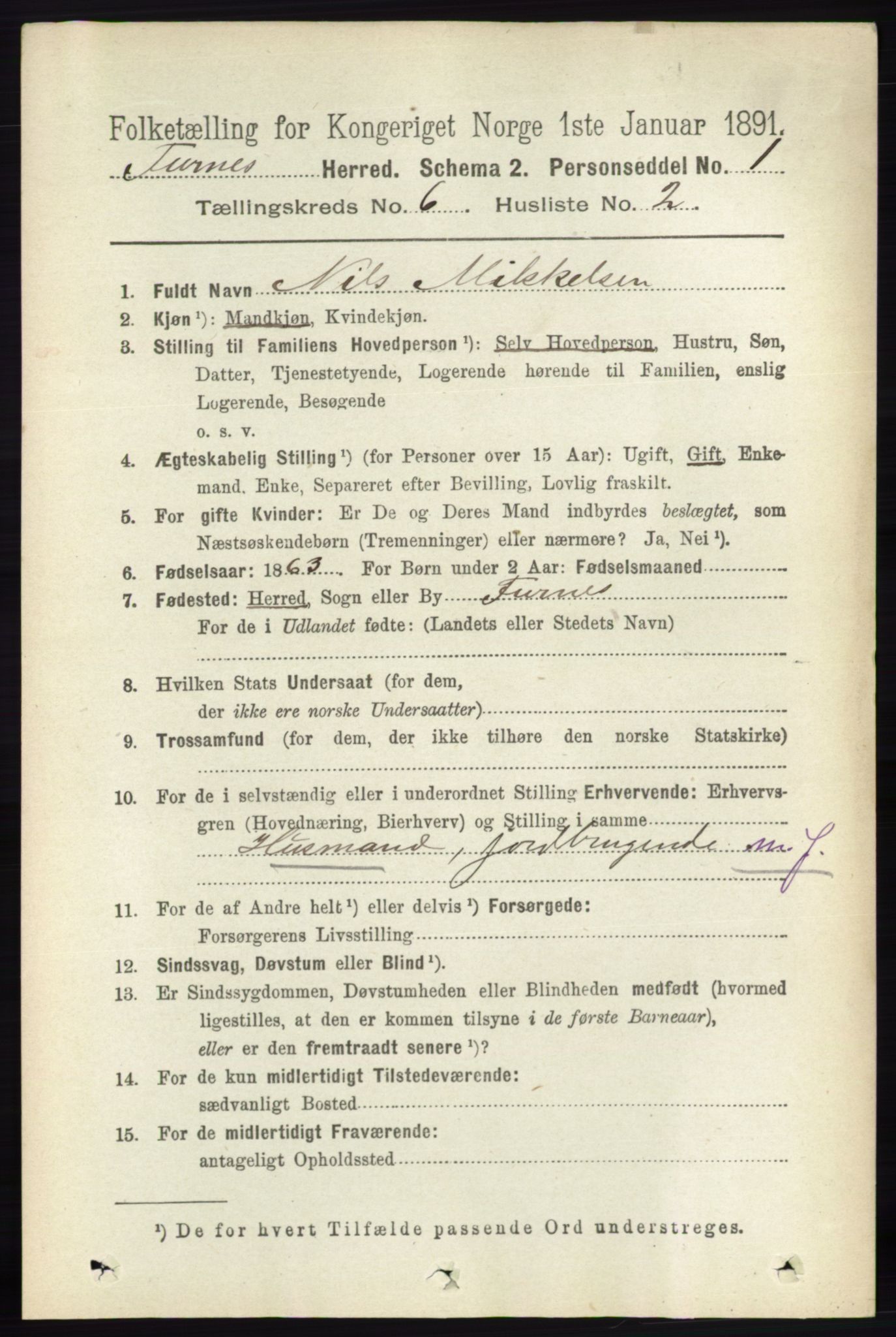 RA, Census 1891 for 0413 Furnes herred, 1891, p. 4169