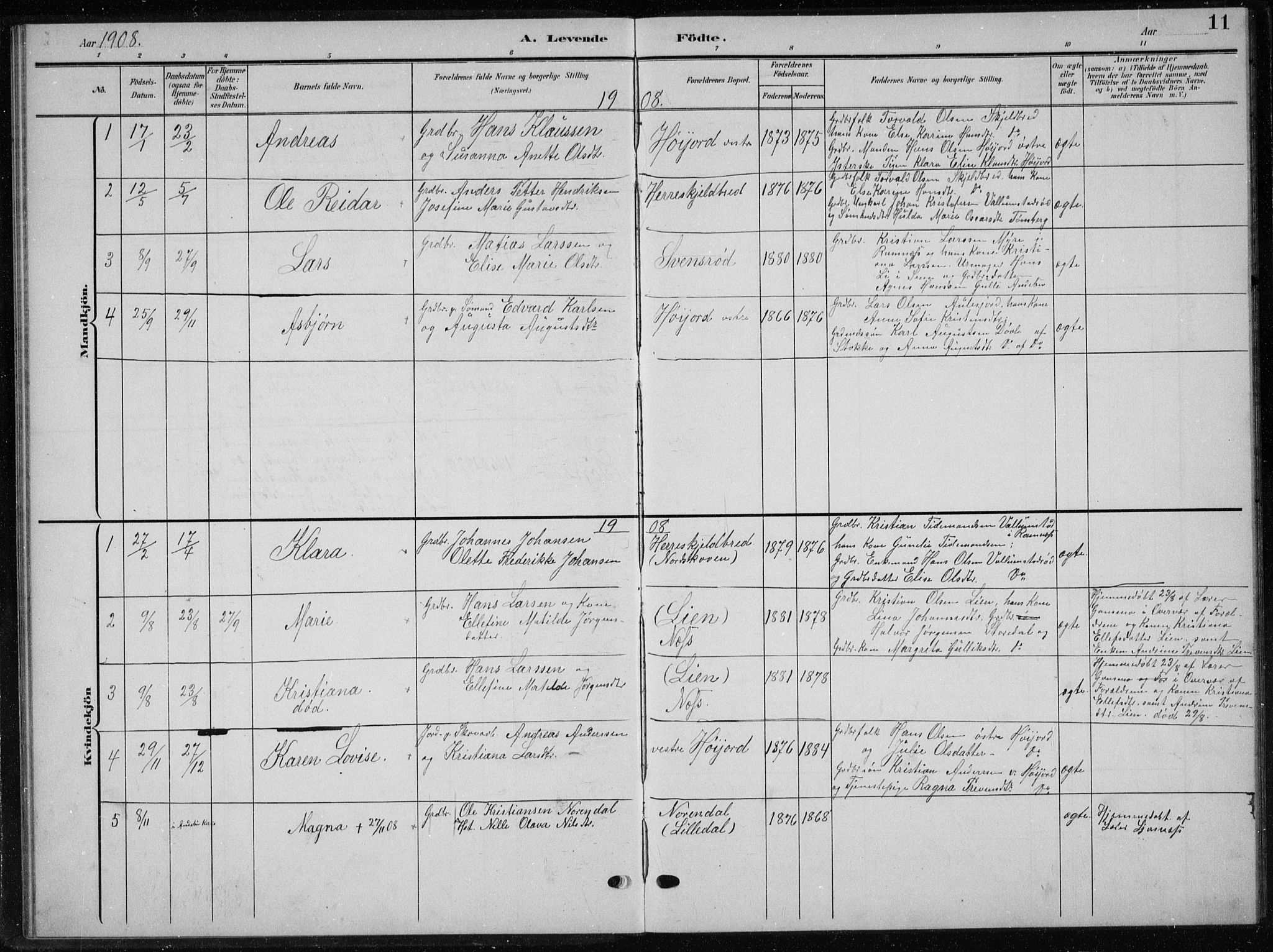 Andebu kirkebøker, AV/SAKO-A-336/G/Gb/L0001: Parish register (copy) no. II 1, 1901-1936, p. 11