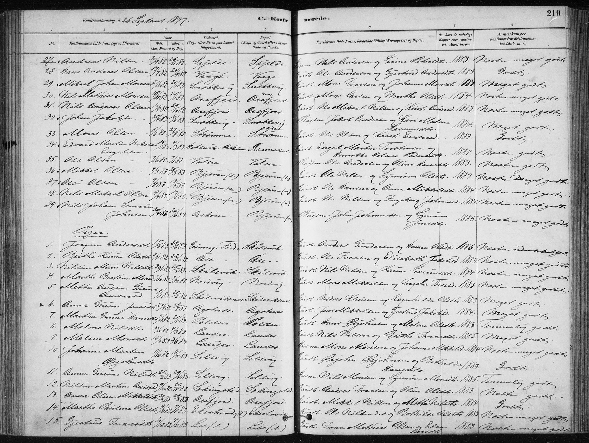 Fjell sokneprestembete, SAB/A-75301/H/Haa: Parish register (official) no. A  8, 1878-1898, p. 219