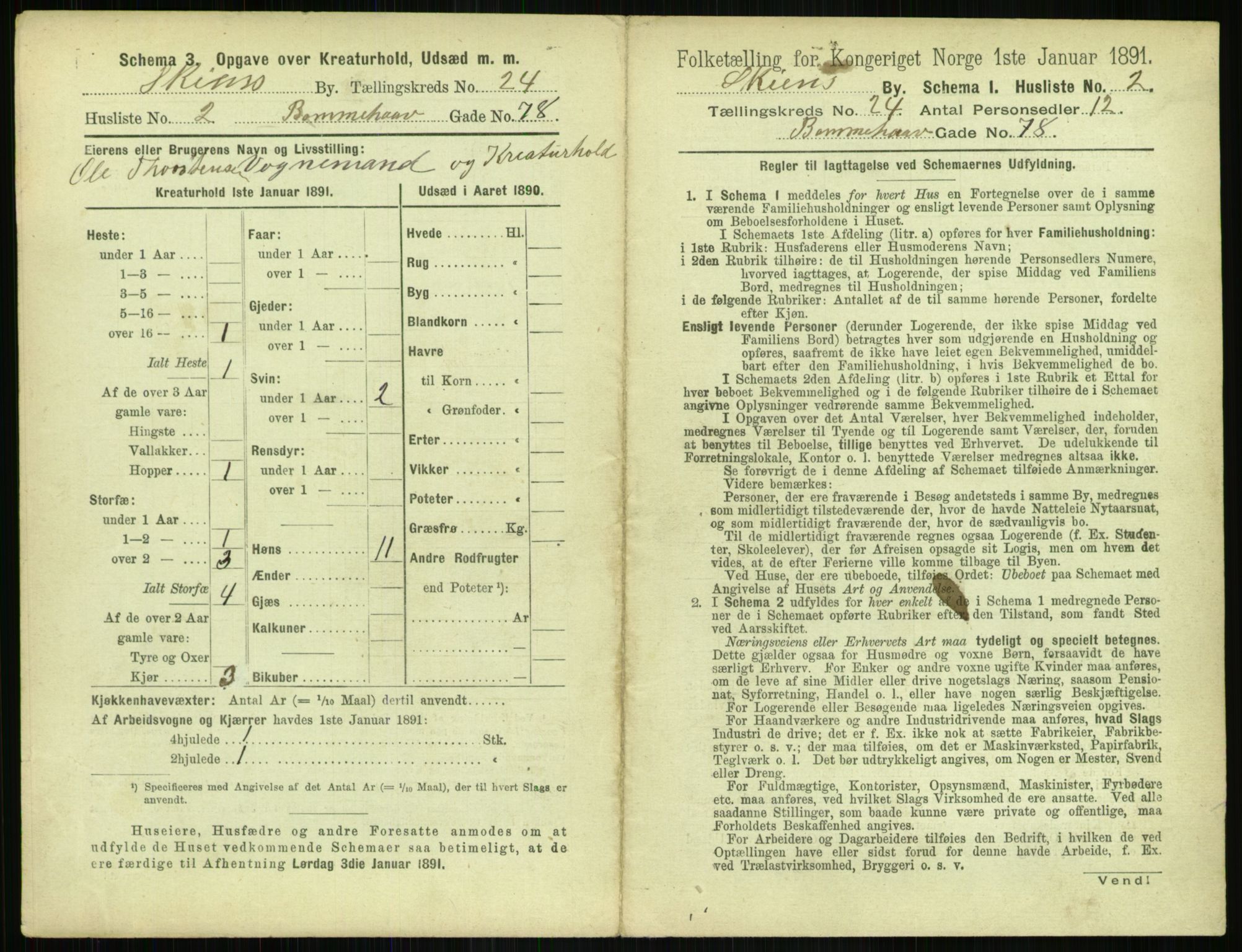 RA, 1891 census for 0806 Skien, 1891, p. 894