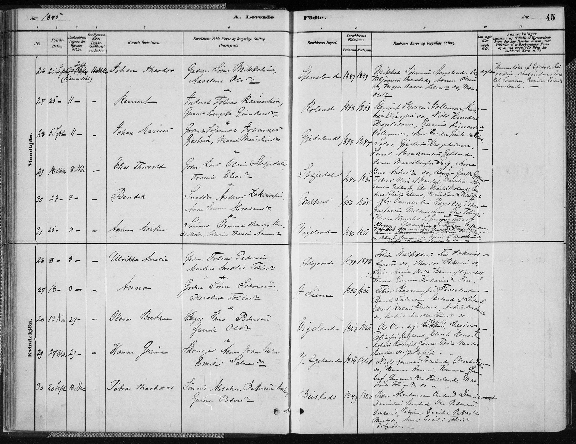 Sør-Audnedal sokneprestkontor, SAK/1111-0039/F/Fa/Fab/L0009: Parish register (official) no. A 9, 1880-1895, p. 45