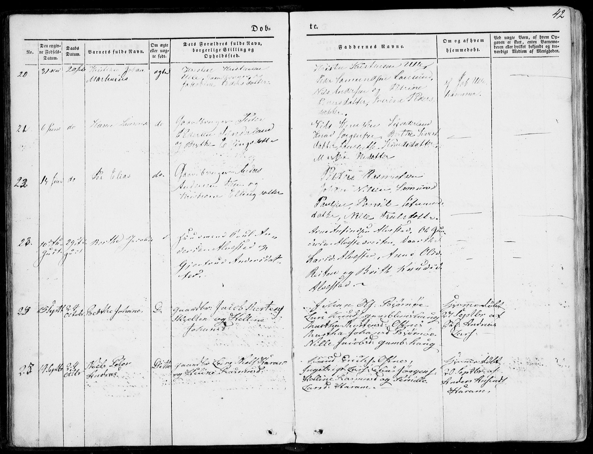 Ministerialprotokoller, klokkerbøker og fødselsregistre - Møre og Romsdal, AV/SAT-A-1454/536/L0497: Parish register (official) no. 536A06, 1845-1865, p. 42