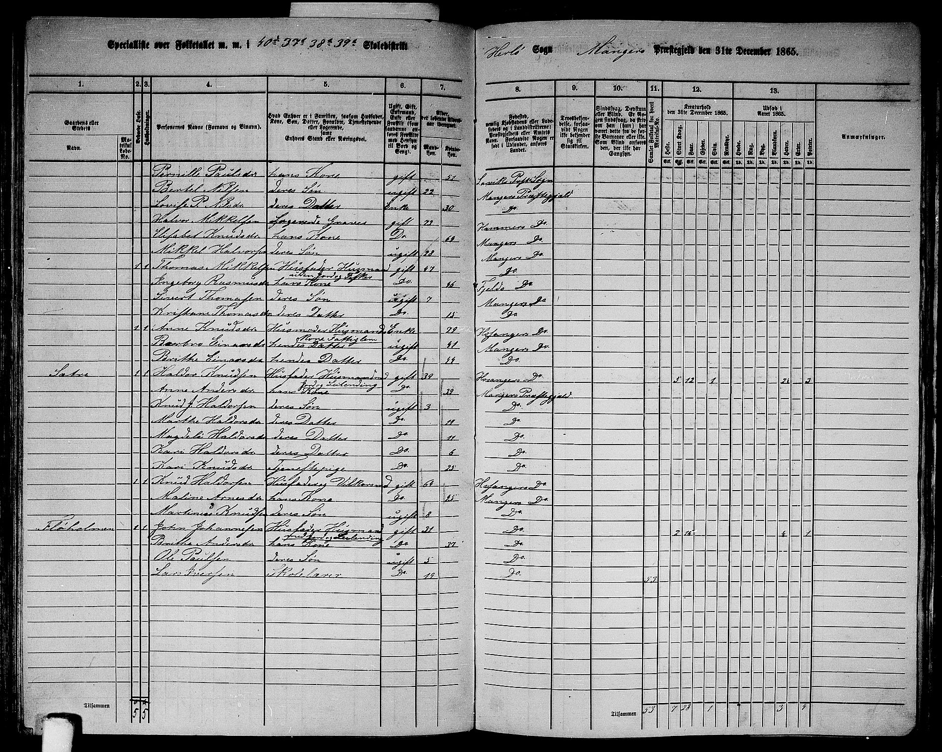 RA, 1865 census for Manger, 1865, p. 166