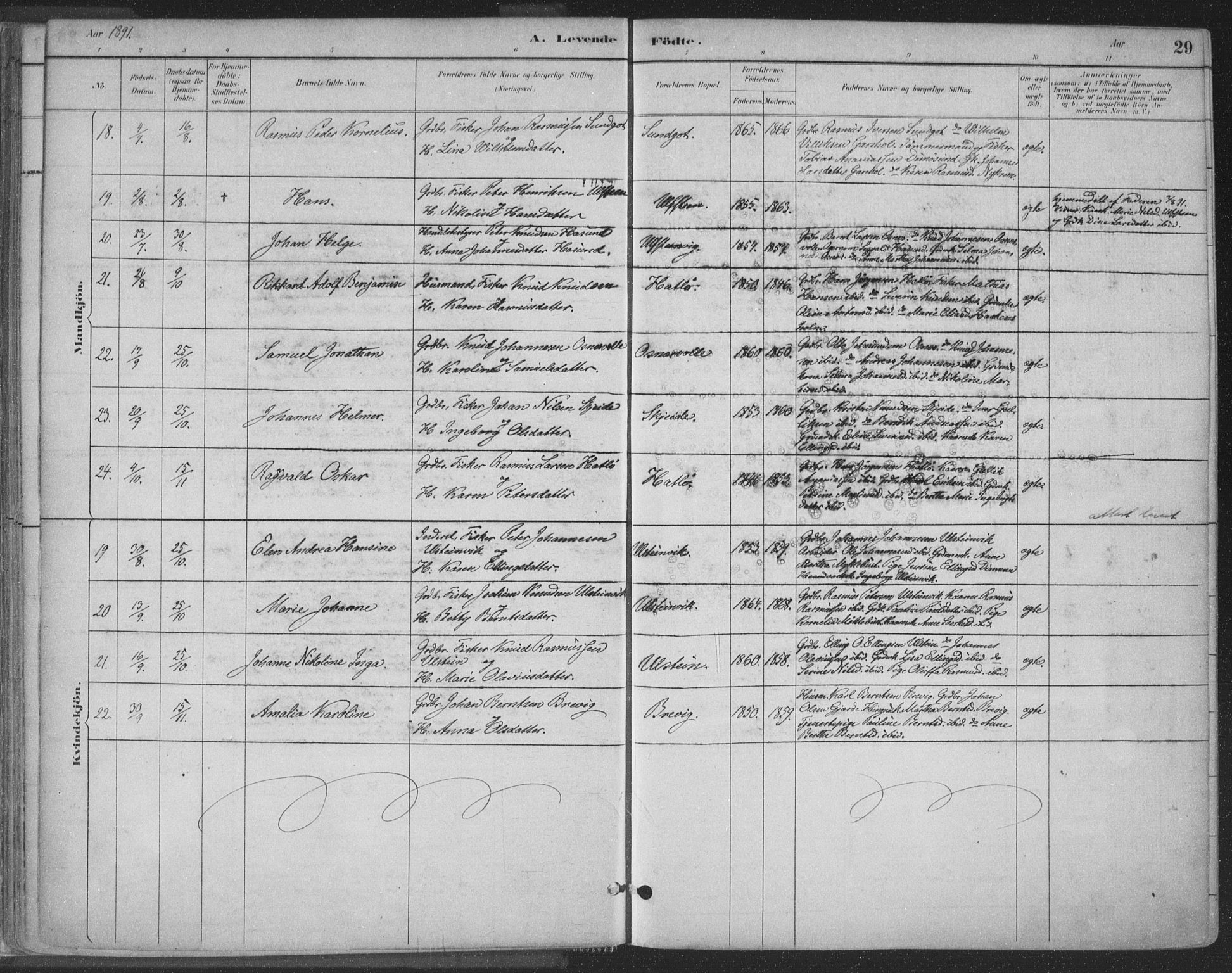 Ministerialprotokoller, klokkerbøker og fødselsregistre - Møre og Romsdal, AV/SAT-A-1454/509/L0106: Parish register (official) no. 509A04, 1883-1922, p. 29