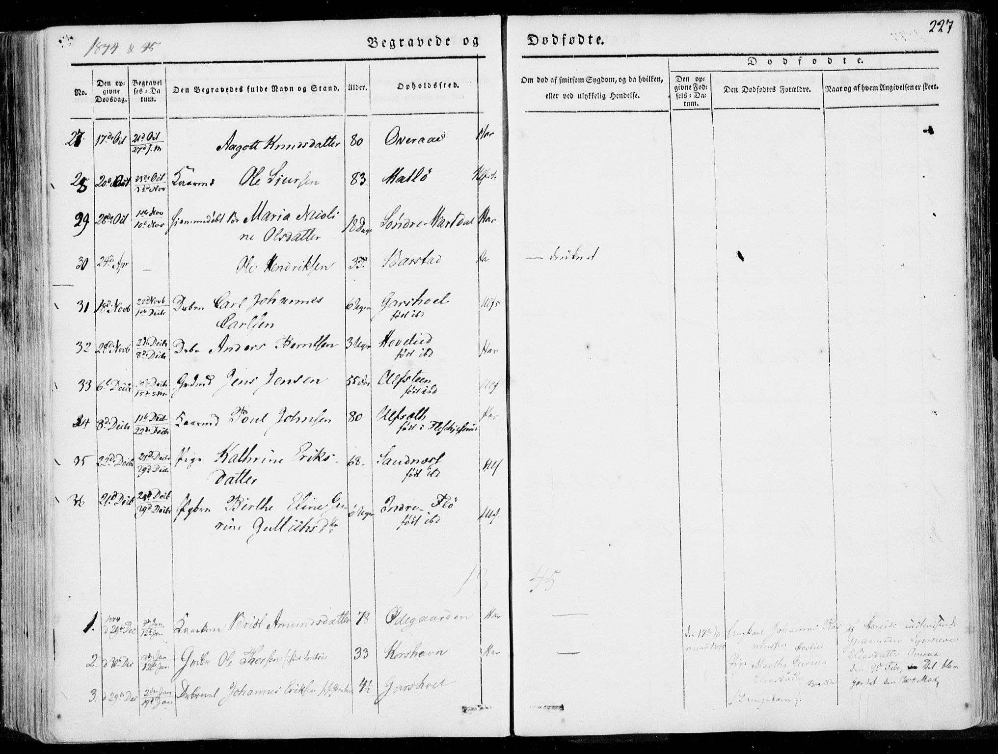 Ministerialprotokoller, klokkerbøker og fødselsregistre - Møre og Romsdal, AV/SAT-A-1454/509/L0104: Parish register (official) no. 509A02, 1833-1847, p. 227