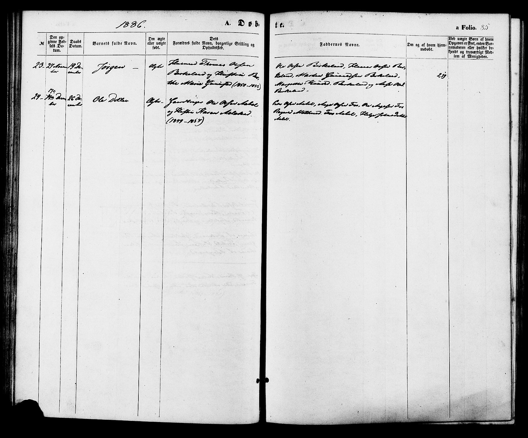 Birkenes sokneprestkontor, AV/SAK-1111-0004/F/Fa/L0004: Parish register (official) no. A 4, 1867-1886, p. 85