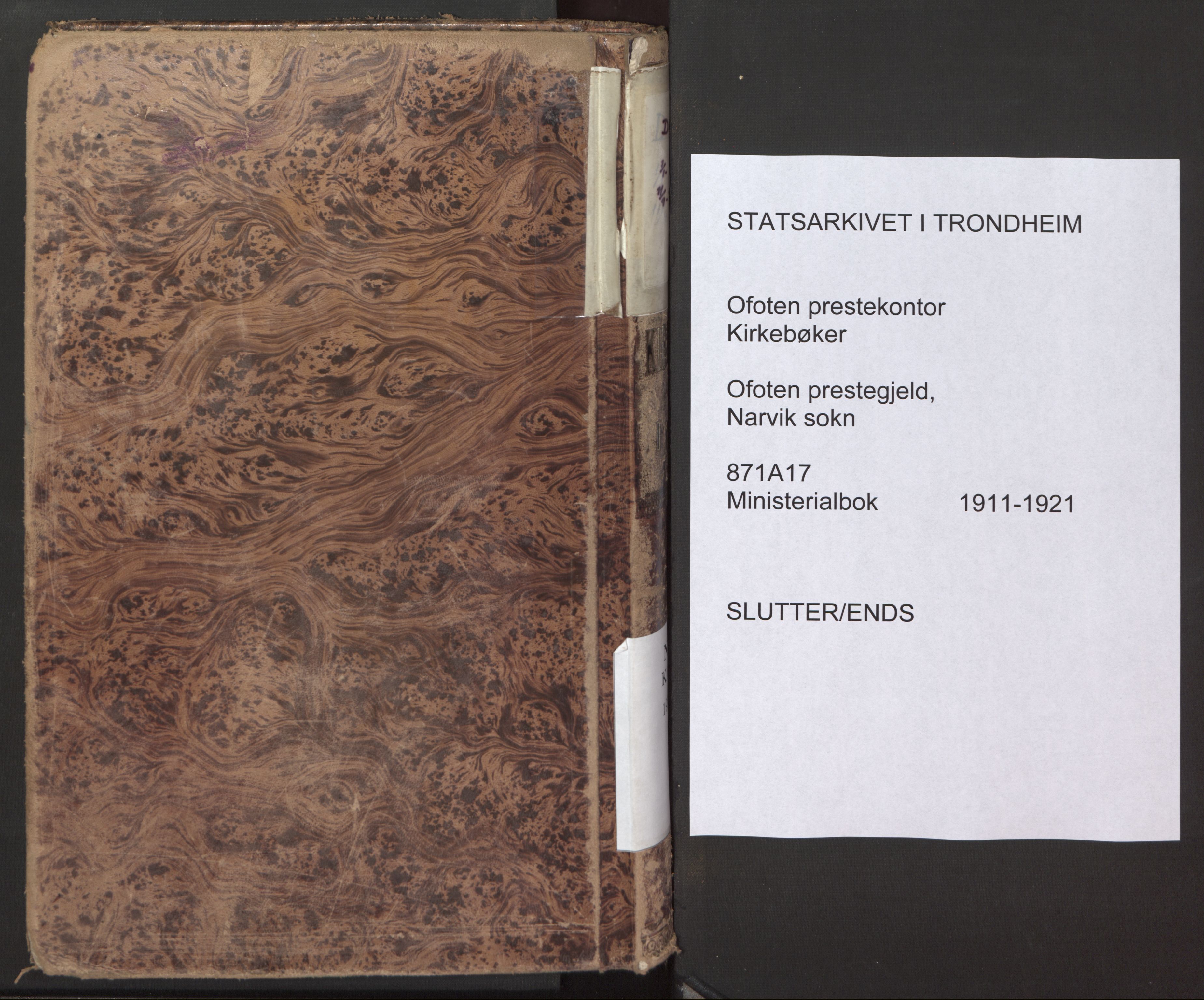 Ministerialprotokoller, klokkerbøker og fødselsregistre - Nordland, SAT/A-1459/871/L1001: Parish register (official) no. 871A17, 1911-1921