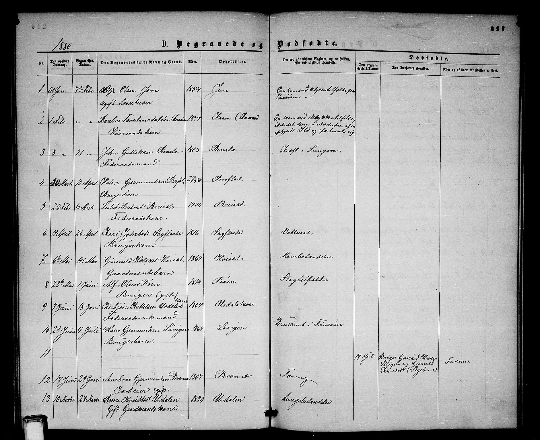 Gransherad kirkebøker, SAKO/A-267/G/Gb/L0002: Parish register (copy) no. II 2, 1860-1886, p. 217