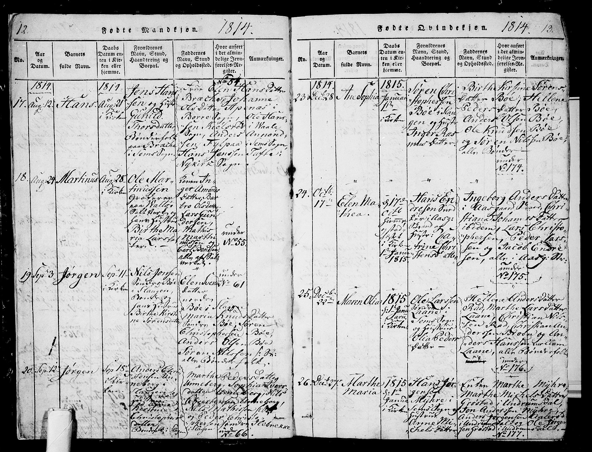 Sem kirkebøker, AV/SAKO-A-5/G/Ga/L0001: Parish register (copy) no. I 1, 1814-1825, p. 12-13