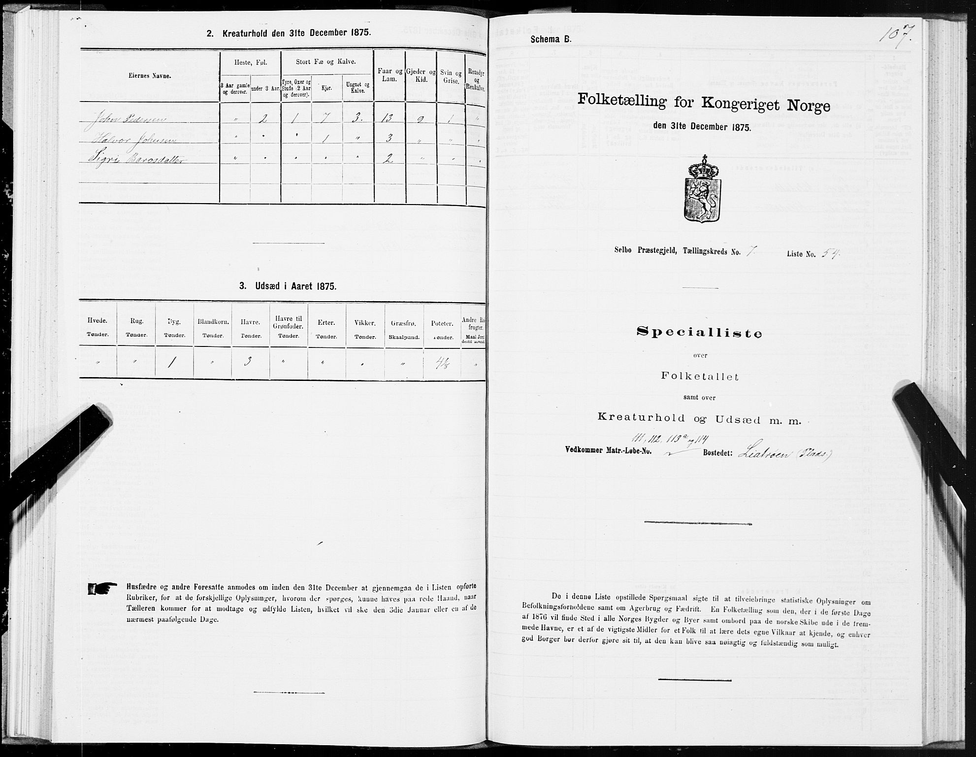 SAT, 1875 census for 1664P Selbu, 1875, p. 4107